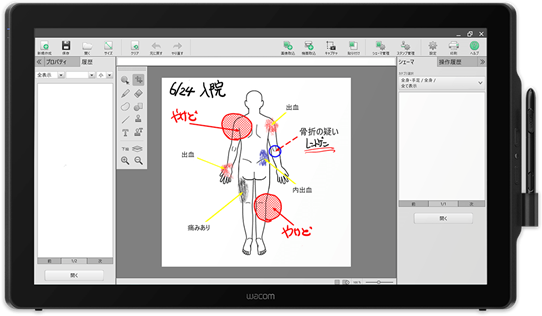 Pen Display DTK-2451